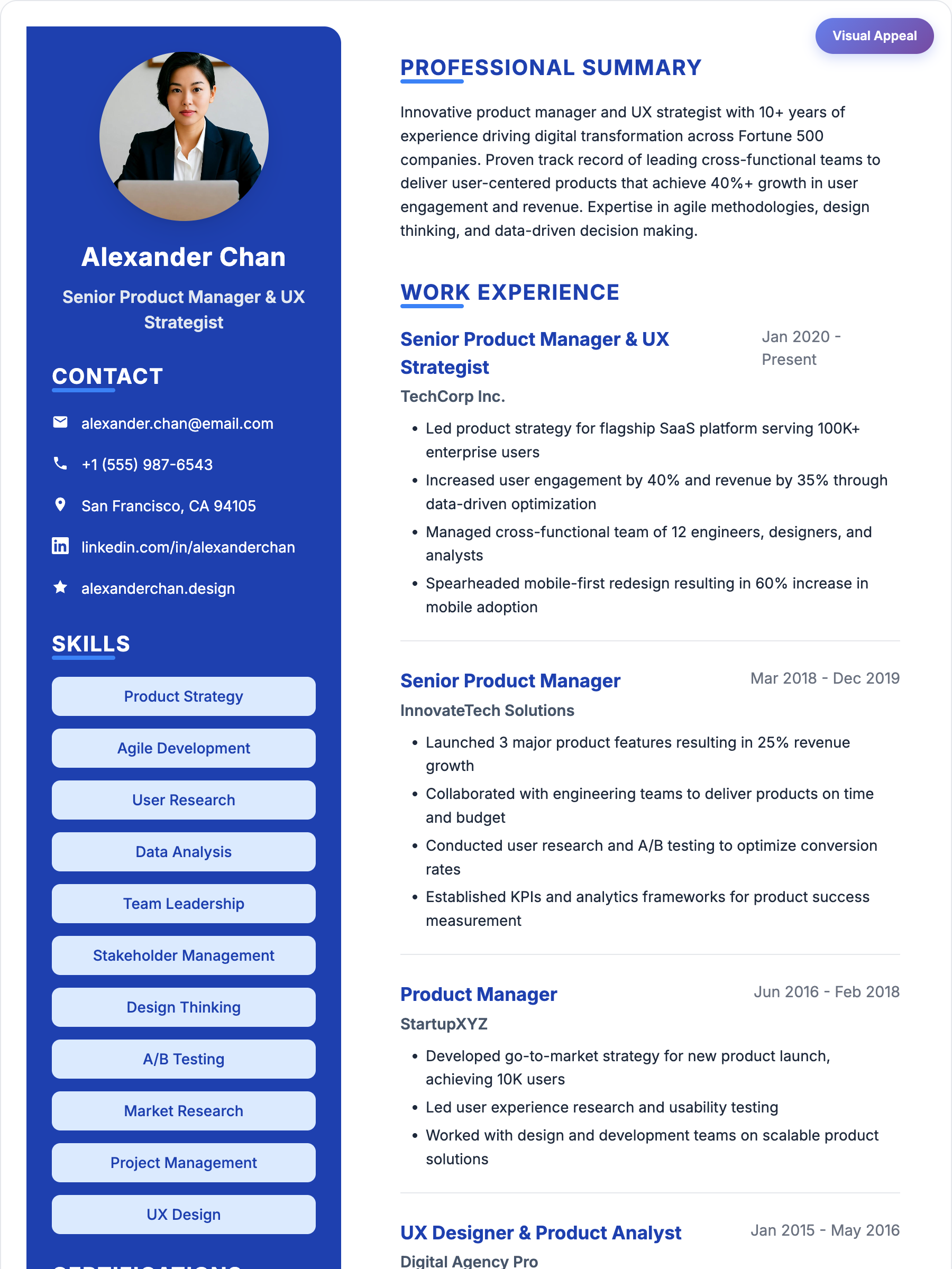 Professional resume template preview